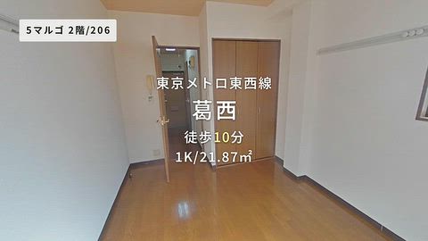 動画