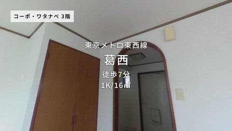 動画