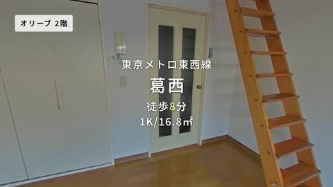 動画