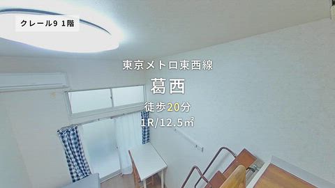 動画