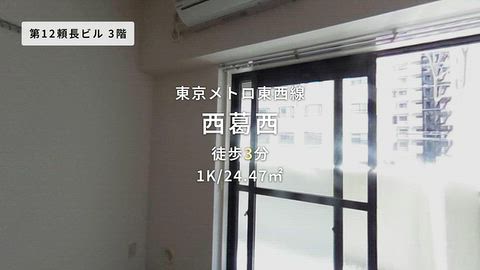 動画