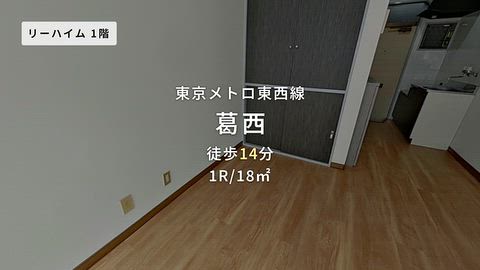 動画