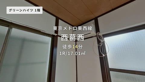 動画