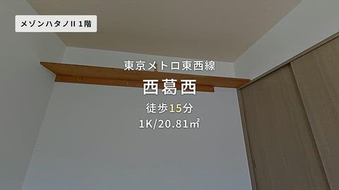 動画