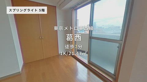 動画