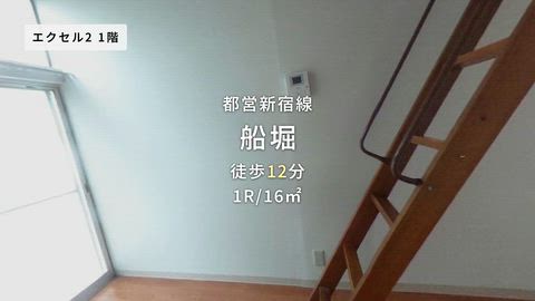 動画