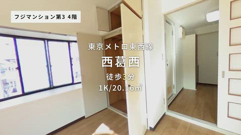 動画