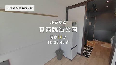 動画