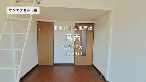 動画