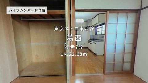動画
