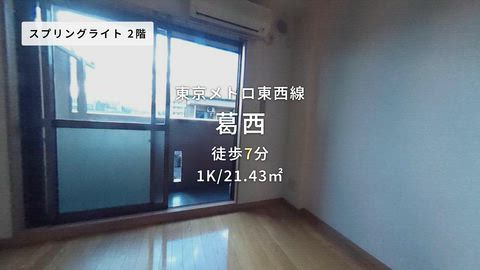 動画