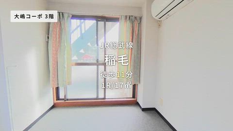 動画