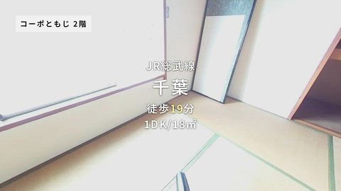 動画