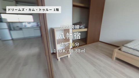 動画