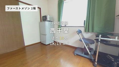 動画