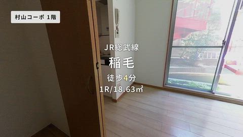 動画