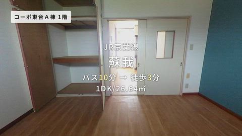 動画