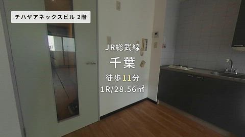 動画