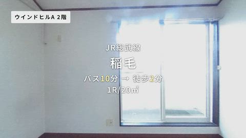 動画