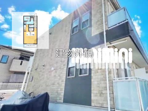 動画