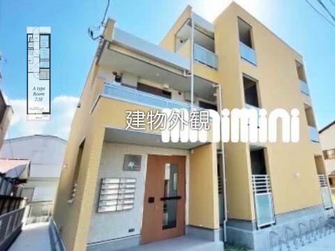 動画
