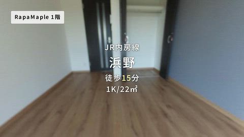 動画