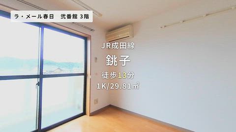 動画