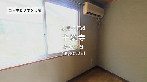 紹介ムービー