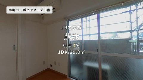 動画