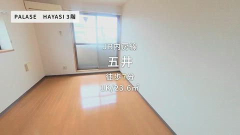 動画
