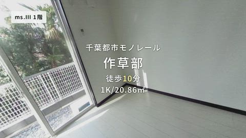 動画