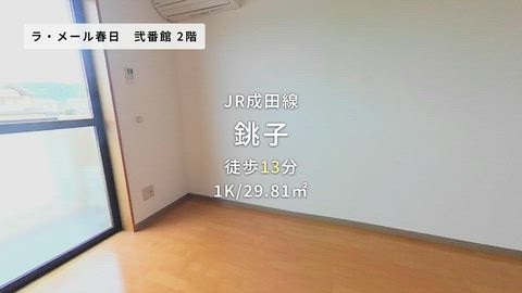 動画