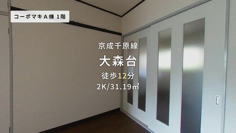 動画