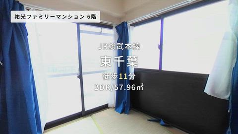 動画