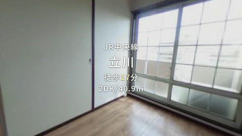 動画