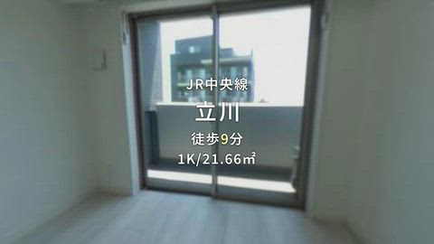 動画