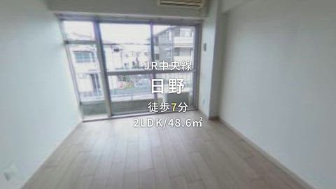 動画