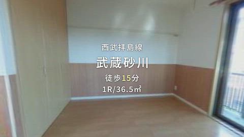 動画