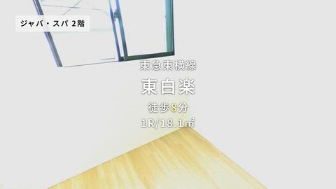 動画