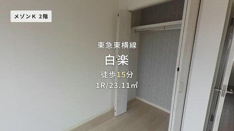 動画