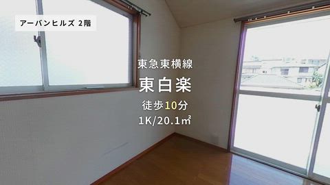 動画