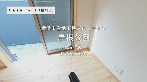 動画