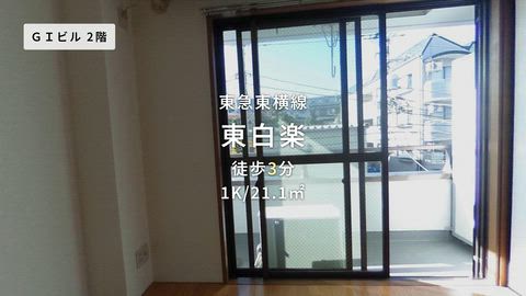 動画