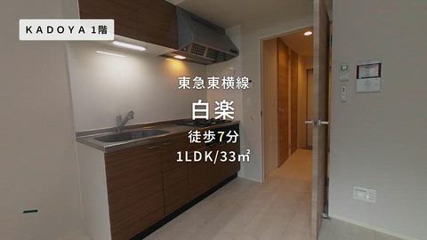 動画