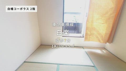 動画