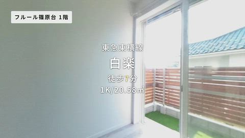 動画