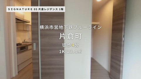 動画