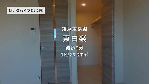 動画