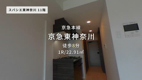 動画