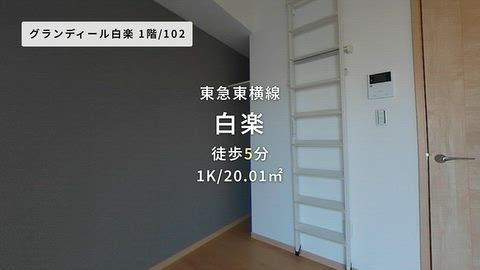動画